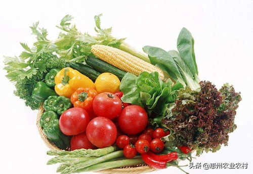 岭南珍馐进京来 广东名特优新农产品闪耀京城