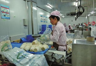 从星辰到餐桌 如何打造航天级品质的农产品