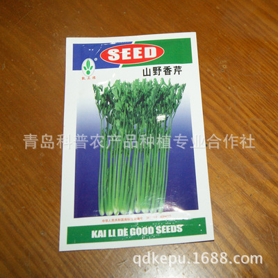 优质香芹种子厂家供应 高产芹菜种苗助您增收