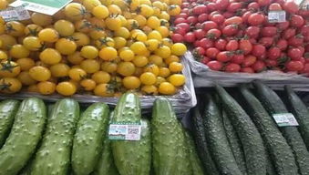 大石桥名优特农产品篇 品味辽南风土的舌尖瑰宝